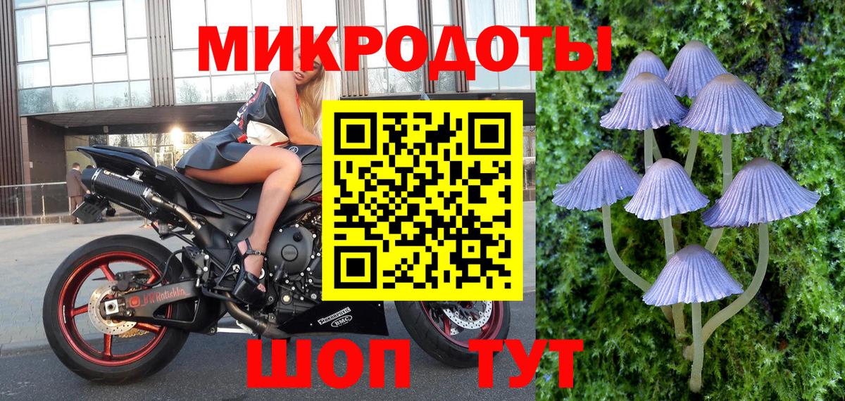 Псилоцибиновые грибы Psilocybine cubensis  Вход с VPN  Будённовск  Галлюциногенные грибы мухоморы 