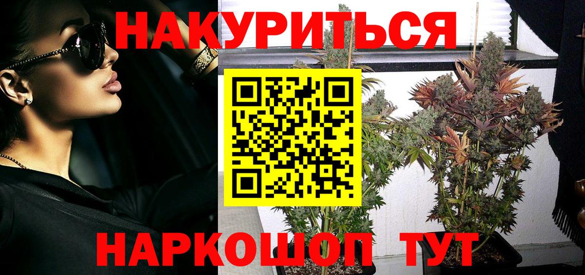 Шишки марихуана тримм  Марихуана Amnesia  Вход с VPN  Шишки марихуана план  Будённовск 